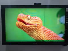 40 Inches | Lcd | Sony | Full HD [2160p]