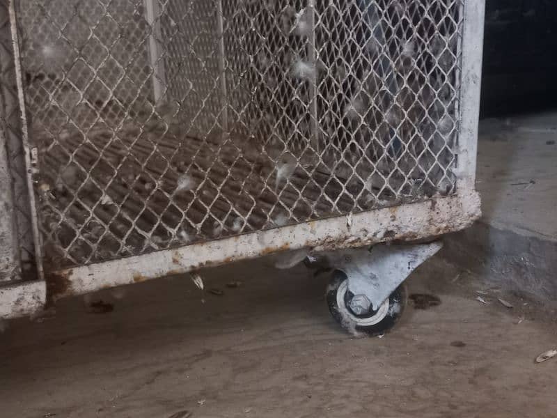 parrot Cage For Sale Huge Size cage ( Pinjra ) 5