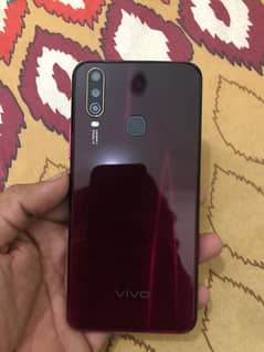 Vivo