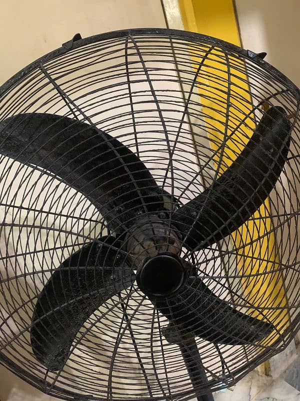 black fan 0