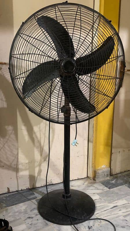 black fan 1