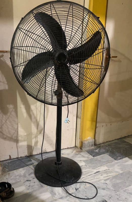 black fan 2