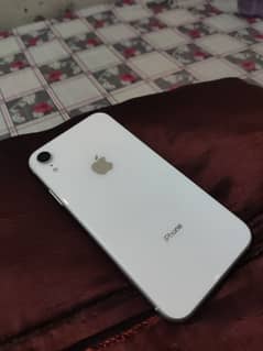 iPhone XR dual PTA approved