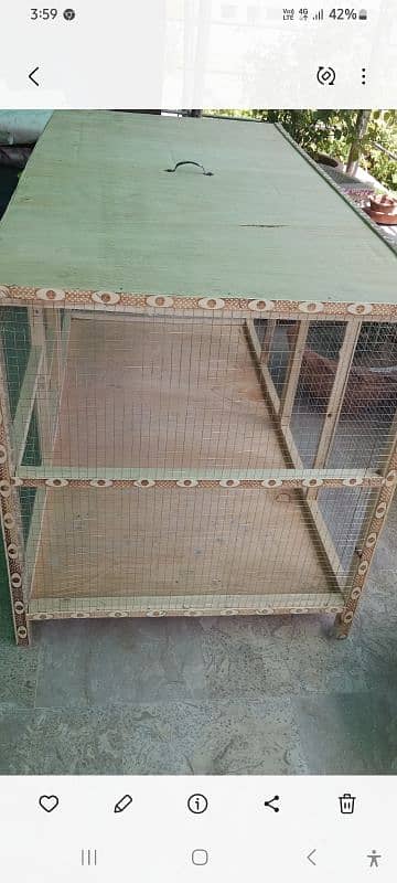 cat and Dog cage 2