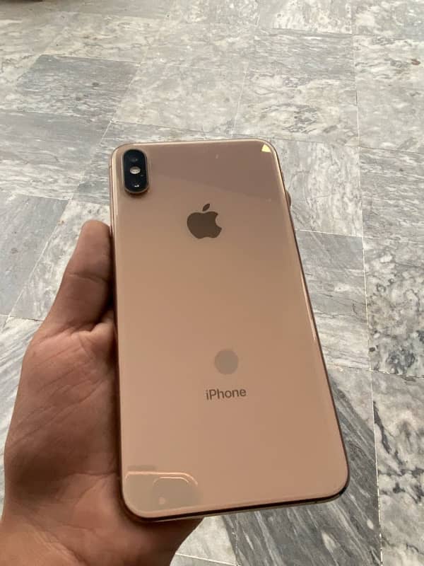 iphonexs max 2