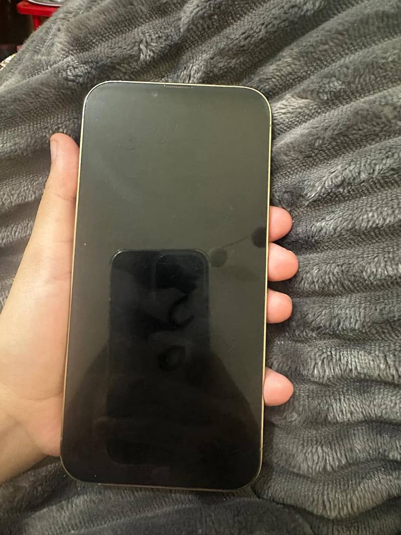 Iphone 13 pro max 256GB Gold 2