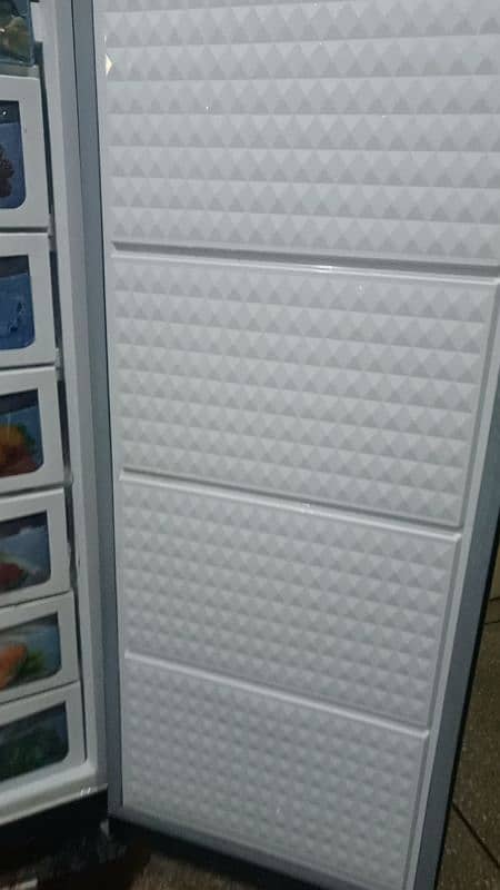 vertical freezer 6