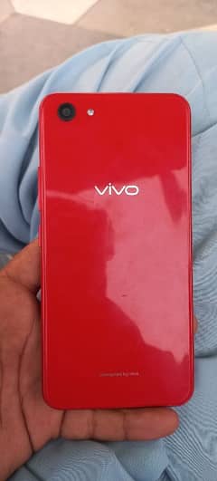 vivo