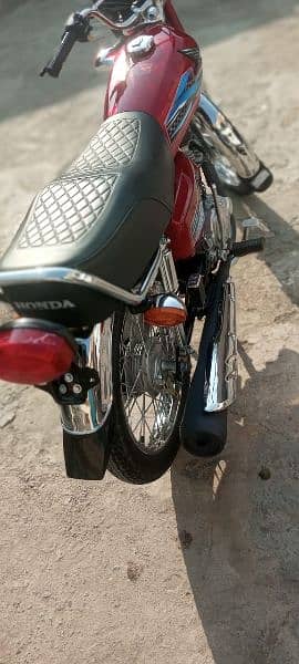 Honda 125 2024 3