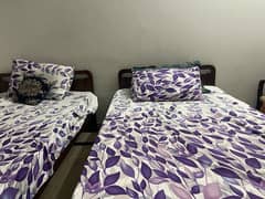 2 single beds size 6*3.5 with medicated Mattress