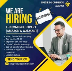 Ecommerce Expert