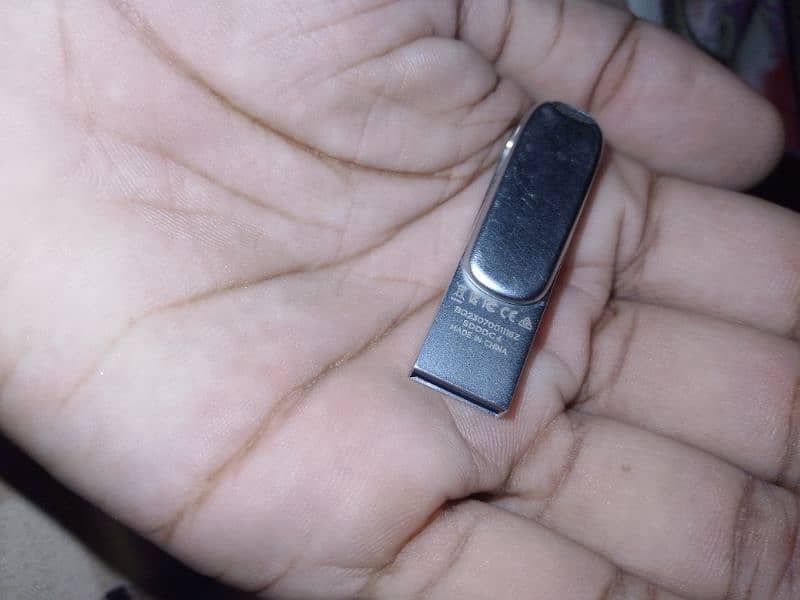 SanDisk Original Flash drive. 1