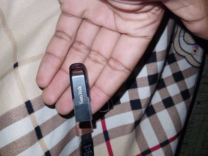 SanDisk Original Flash drive. 3