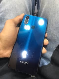 Vivo