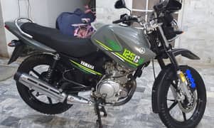 yamaha