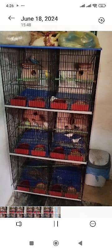 birds (cage only):::::::: (2 month use Kara hai) 6000rs 2