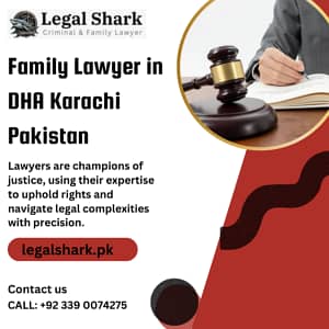 Family, Divorce, Khula, Child Custody Lawyer/Advocate in Karachi 3