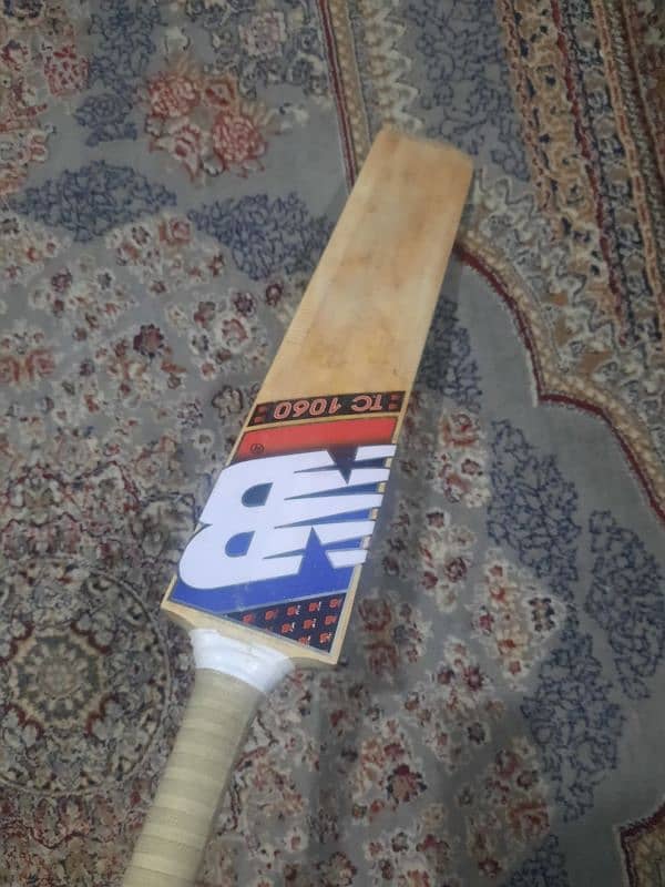 Bat for sale 1