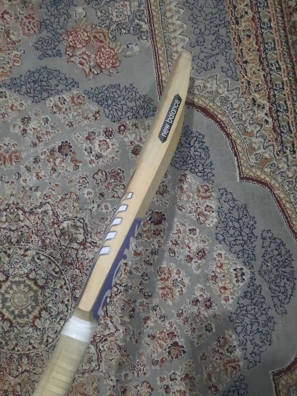 Bat for sale 3