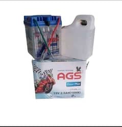 Original 12 Volt AGS Cd Bike Battery