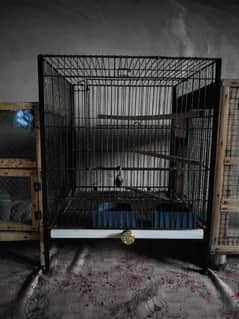 birds cage