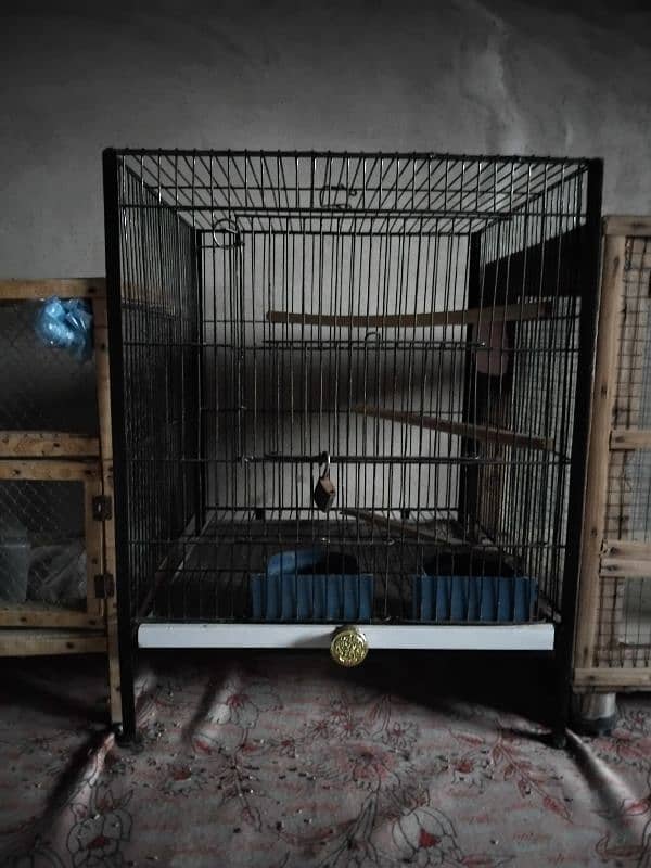 birds cage 0