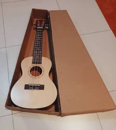 Used Ukulele - Excellent Condition