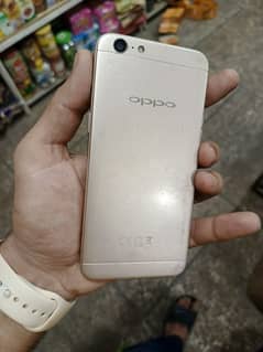 oppo