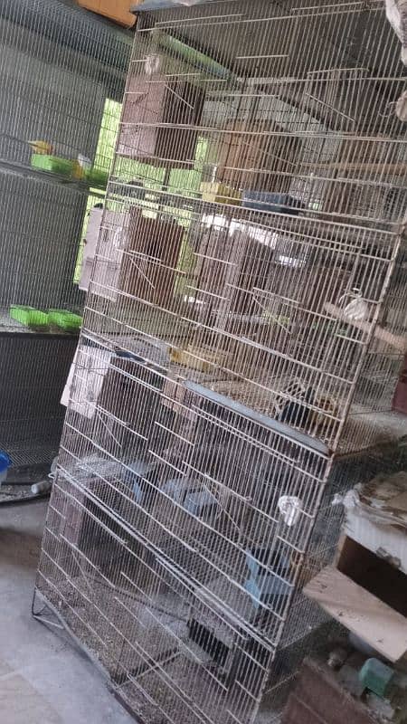 love birds cage 0