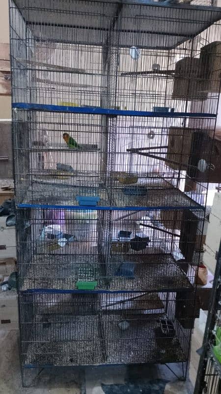 love birds cage 1