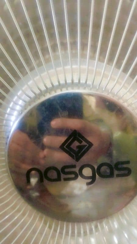 nas gas electric heater 1