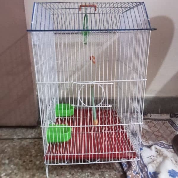 Used cage for parrot 2