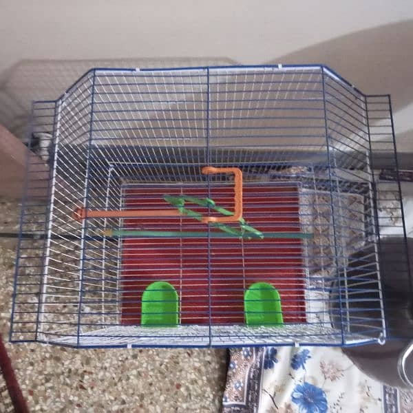 Used cage for parrot 4