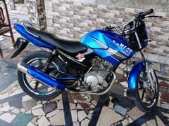 Yamaha Ybr 125 2016 for sale