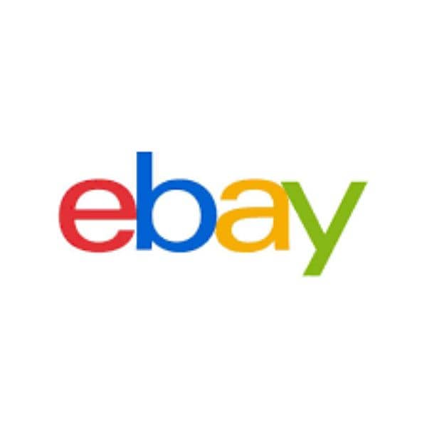 Ebay Expert or Mid level Person Required 1