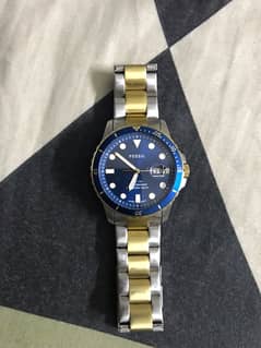 Fossil Water Resistant