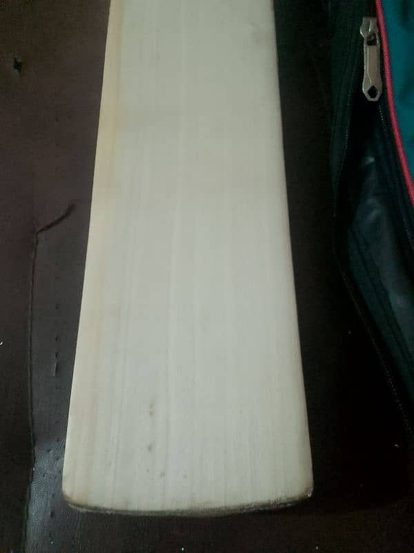 Original Hand Made Player Edition Hard Ball Cricket Bat 3