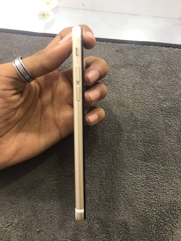 iPhone 6 pta 1