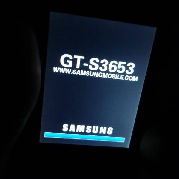 Samsung GT-S3653 (Single Sim) 3