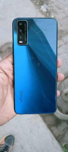 vivo