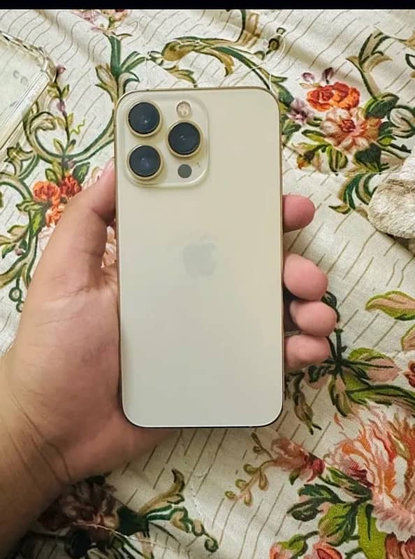 iPhone 13 pro 0