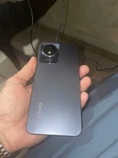 Vivo