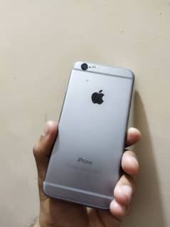 iPhone 6