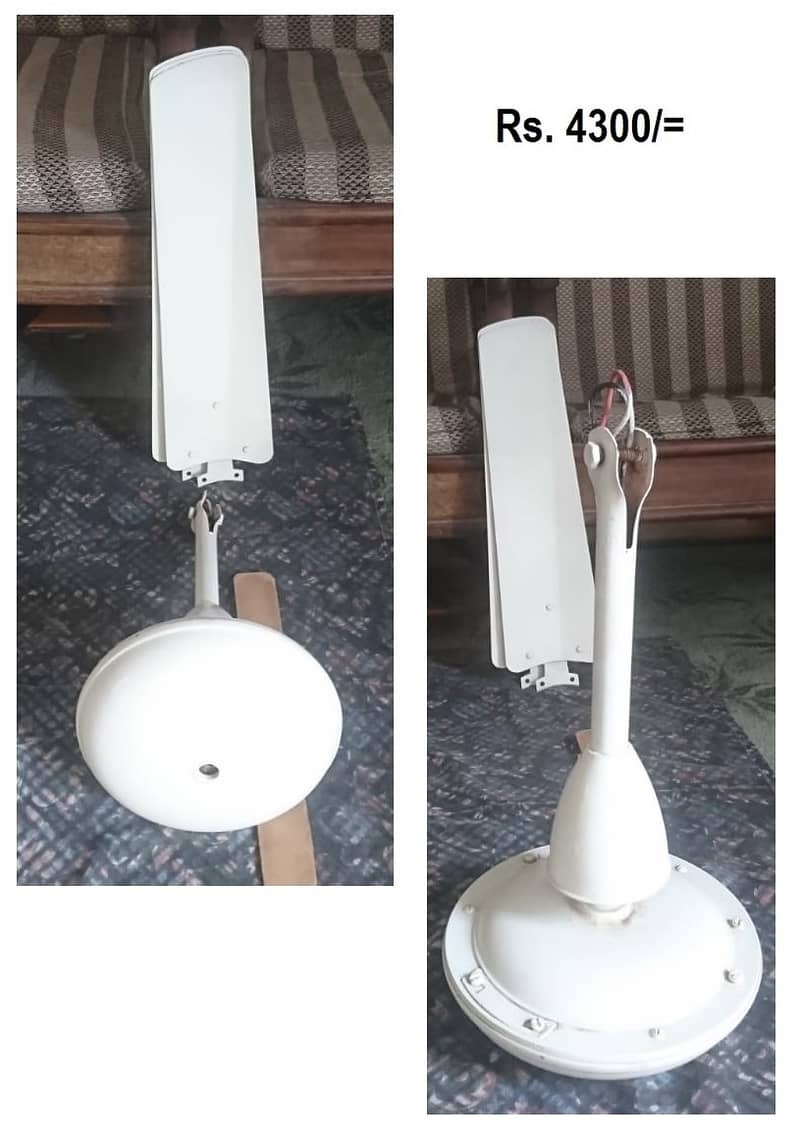 Ceiling & Wall Mounted Fans for Sale 2