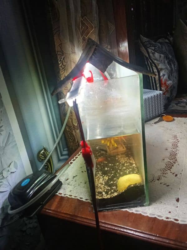 Aquarium with 4 fish and pump 5