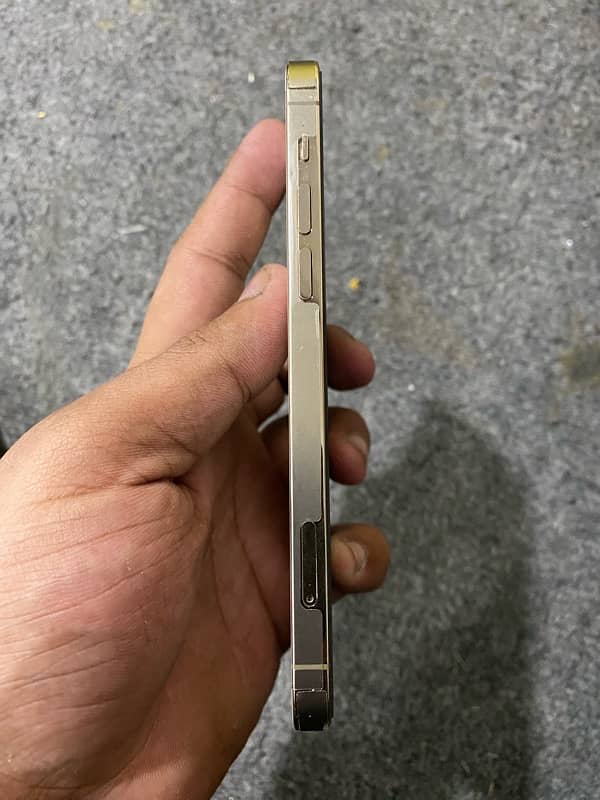 Iphone 12 Pro Gold 5