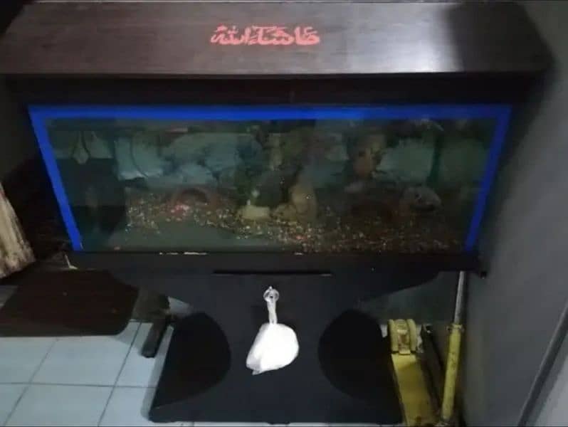 aquarium with complete accessories for sale 2