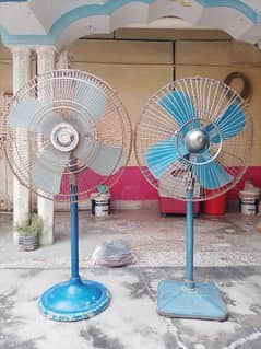 Pedestal Fans