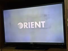 Orient