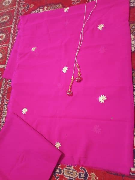 Shoking Pink chiffon sequins work 3